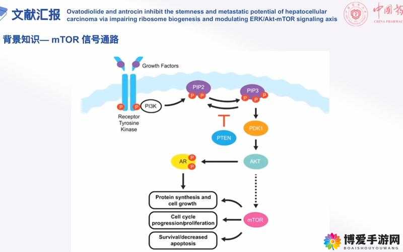akt在哪里看？全面解析akt观看平台及最新资源获取方法
