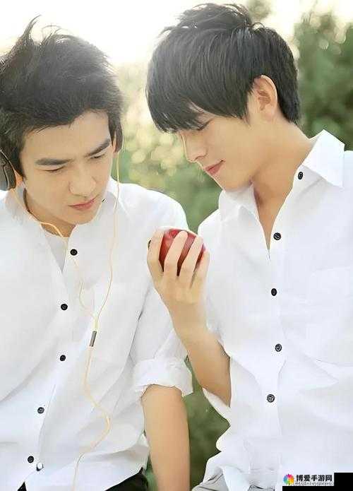 为什么台湾男男之间的性行为如此活跃?他们是如何看待性健康和安全性行为的?
