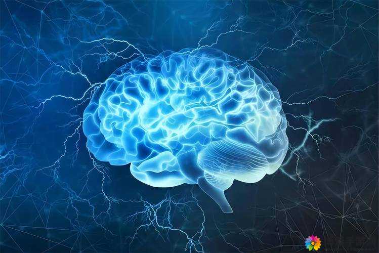 探索真人头颅标本的奥秘:解剖学与医学教育的珍贵资源