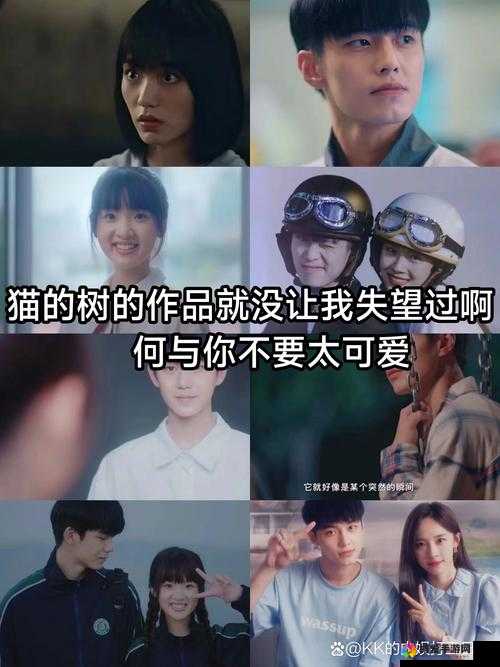 如何在线观看无人高清电影电视剧且免费？这里有你想要的答案
