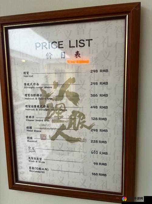 美发店特别待遇 9 中文版到底有何独特之处?快来一探究竟