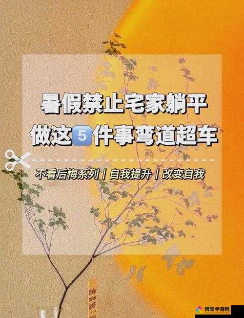 我的暑假怎么过?是躺平还是充实自己?快来看看我的暑假秘密生活 2.0
