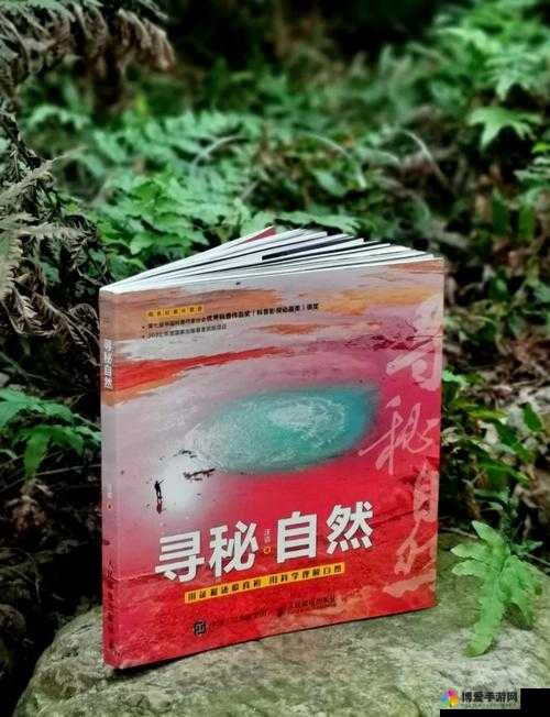 大地资源第二页在线观看：探索自然奥秘，高清资源免费畅享