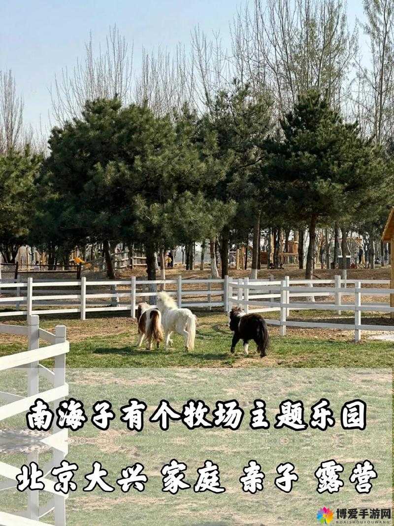 ZoomkooL 牧场究竟有何独特魅力？带你深入探索这个神秘农场