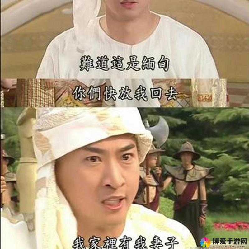 尔康为何吃金锁肉?这一离奇情节背后的真相究竟是什么?