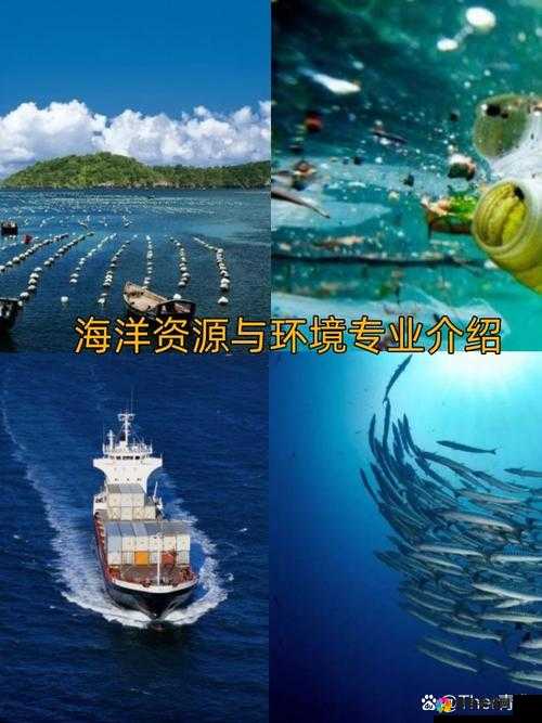 ABW311八卦海管理局最新动态:揭秘海洋资源管理与生态保护的前沿举措