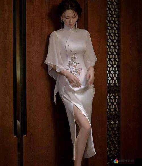 九色 PORNY 熟女视频精选：深度解析熟女魅力与情感故事，带你领略不一样的视觉盛宴