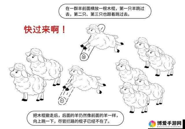 如何进入羊的水门?揭秘这个神秘的过程