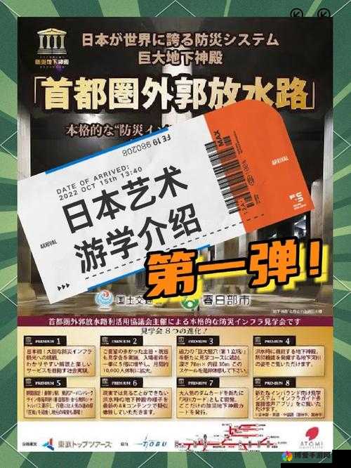 探索日本大但人文艺术项目：深度解析其历史背景、文化影响与当代艺术表现