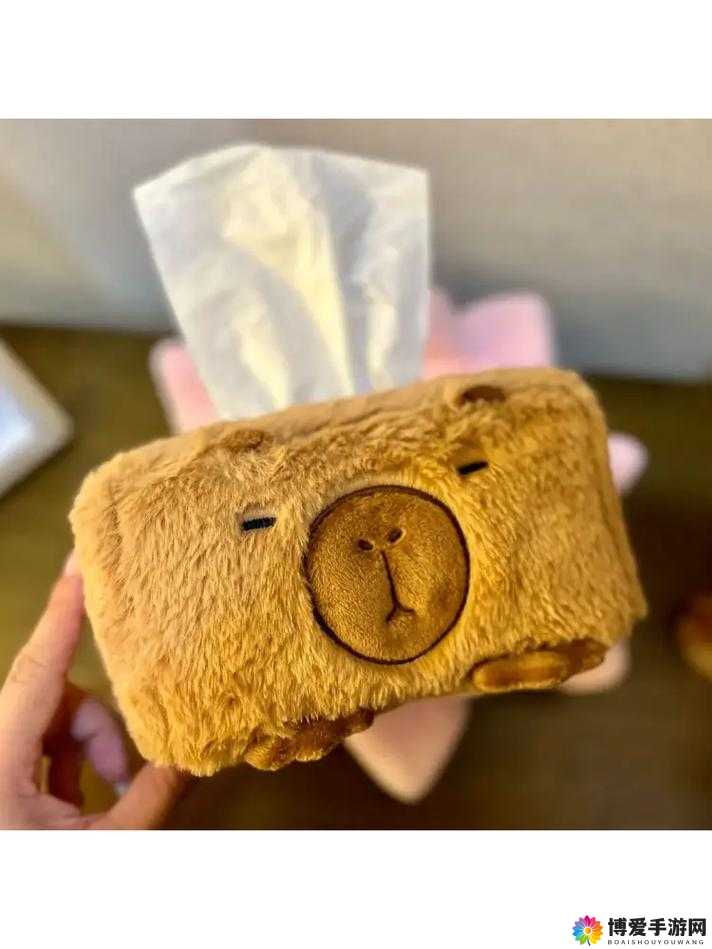 妹妹的纸巾盒,你见过吗?真的太可爱了