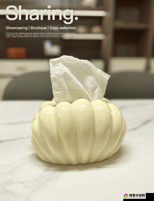 黄油纸巾盒大全有哪些种类和特色?快来一探究竟