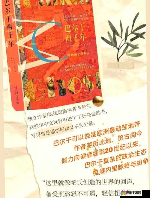 探索粗大黑硬巴的独特魅力：从历史到现代应用的全方位解析