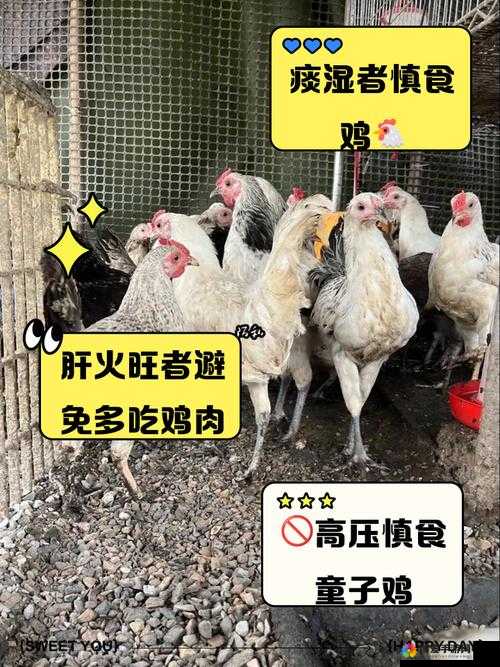 小马拉大车吃童子鸡：为什么会这样？对身体有什么影响？