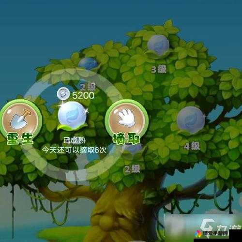 开心消消乐金银果树攻略，从新手到精通的全面解析