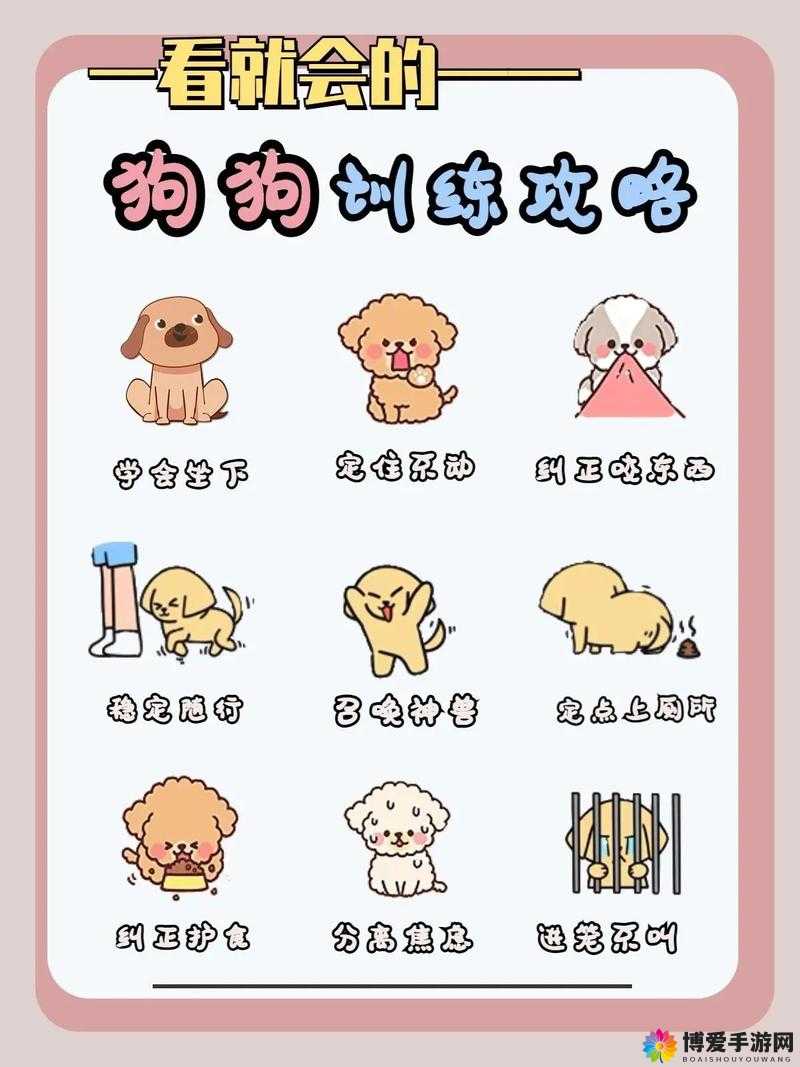 魔范学院宠物怎么培养，宠物培养介绍