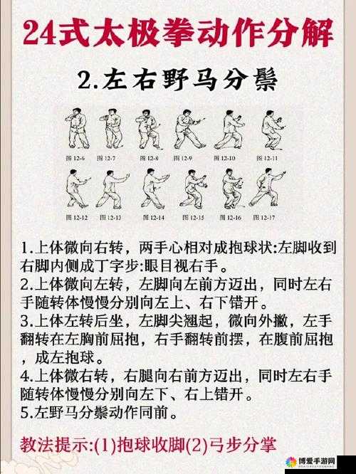 太极熊猫汉克打法揭秘，如何有效压制汉克船长