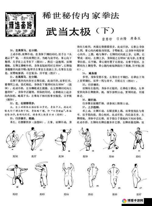太极熊猫武神技能领悟方法介绍，深度解析与优选策略
