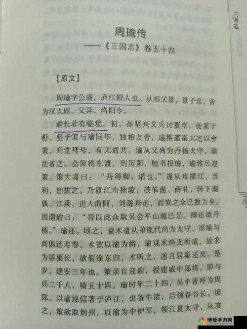 主公莫慌周瑜演变史专题
