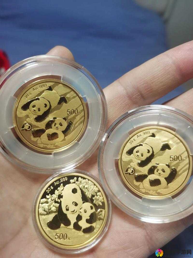 太极熊猫金币副本攻略，有钱就是大爷？未来玩法革命的三大猜想