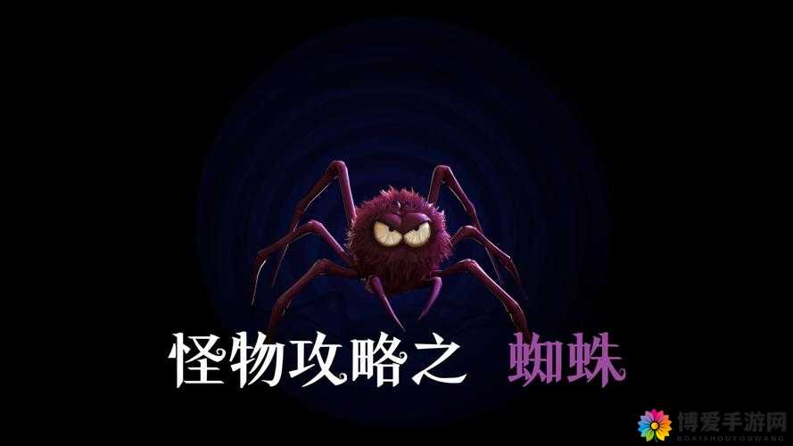 全民奇迹勇者大陆小怪——蜘蛛