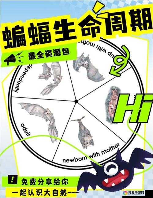 天天风之旅蝙蝠探测器装备图鉴，蝙蝠探测器介绍