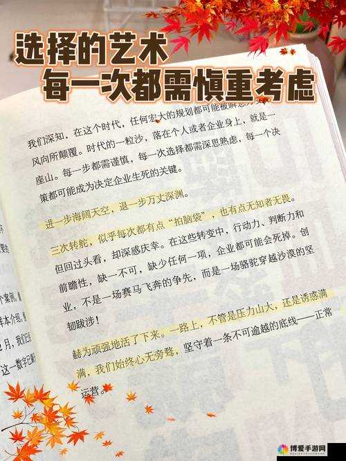 天天风之旅，揭秘36关岔路选择的艺术