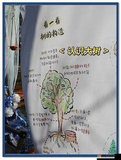 5个关键步骤教你如何成功驯服黑暗与光明树精，实现共生共荣