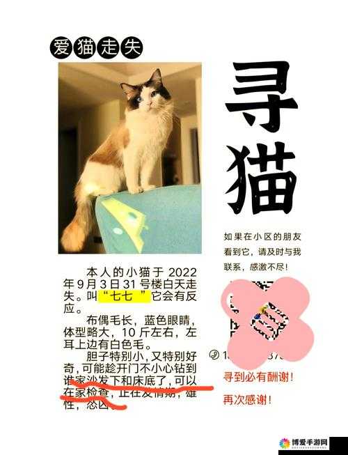 爱猫失踪大挑战：从线索追踪到成功解救的终极通关攻略，30天寻回秘籍全解析