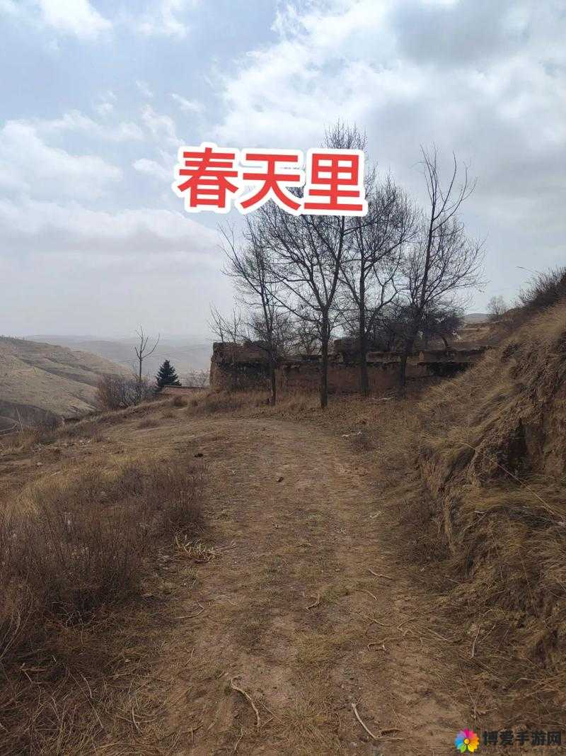 老王头的春天林初晴最火的一句:春天里的故事
